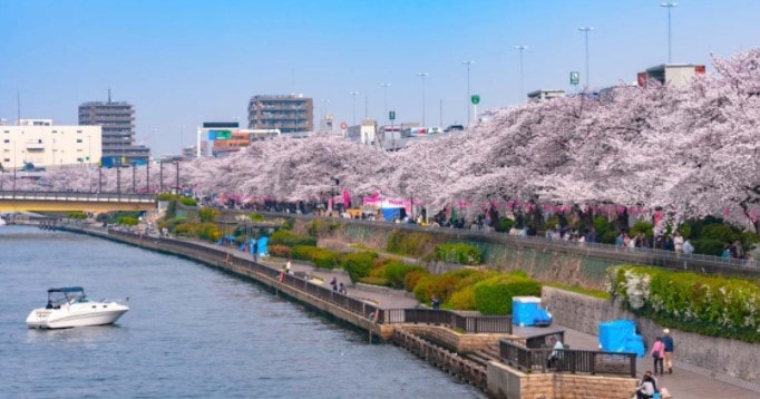 Sumida Park Asakusa