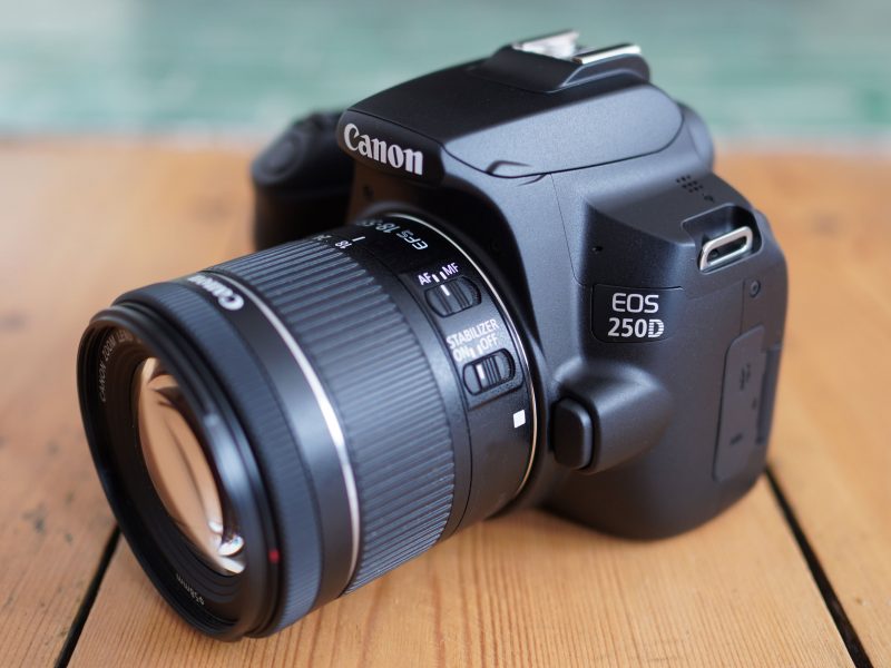 Pilihan Kamera Canon 250D terbaik untuk phographer pemula