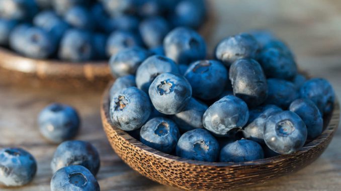 7 Manfaat Blueberry untuk Ibu Hamil dan Diet