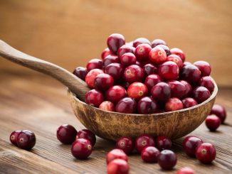 7 Manfaat Cranberry untuk Kecantikan Kulit