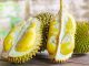 7 Manfaat Durian untuk Wajah dan Kecantikan