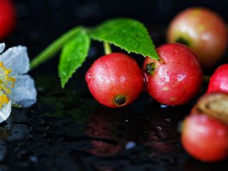 7 Manfaat Kersen untuk Kesehatan Tubuh