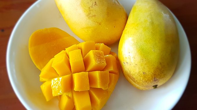 Manfaat Mangga pari