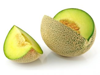 Manfaat Melon