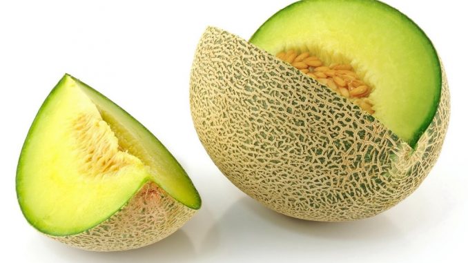 Manfaat Melon