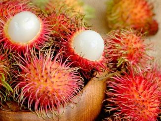 Manfaat Rambutan