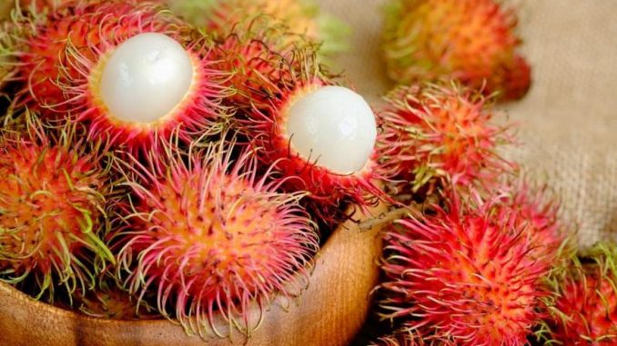 Manfaat Rambutan