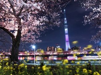 Tempat Wisata di Asakusa